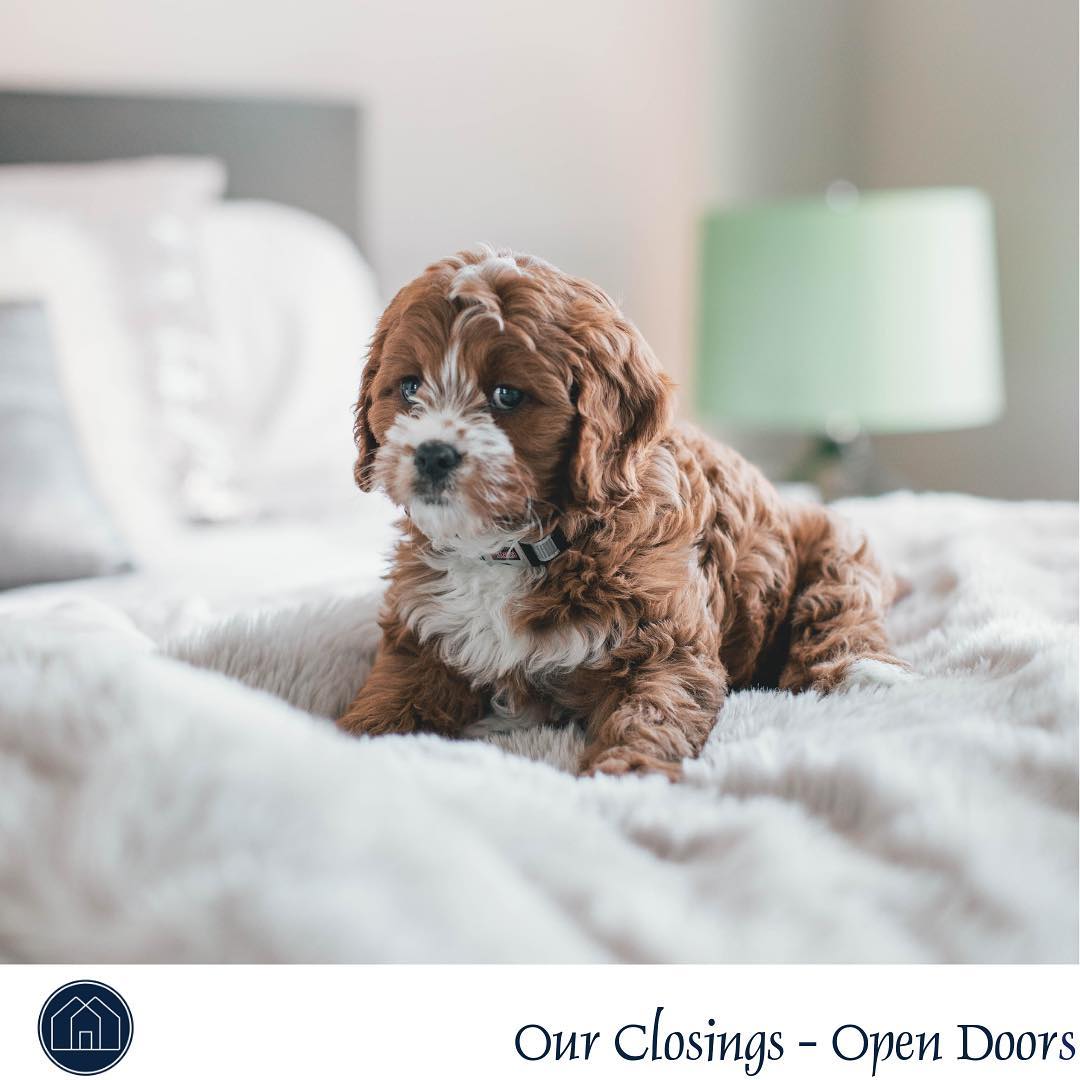 WEDNESDAY is the BEST DAY of the week to SCHEDULE a Closing.  Everyone has Monday and Tuesday to button up last minute items but still beat the Friday rush.  Plus, movers are cheaper mid-week!! #wednesdaywisdom